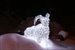 bouquetin-val-thorens-4.JPG